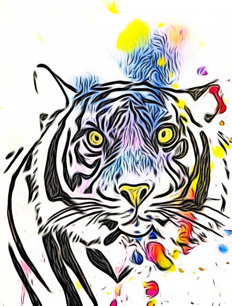 Vibrant Tiger Splash by Anda Bieza — canvas wall art