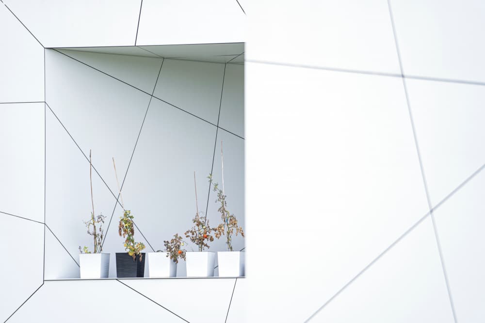 White Geometry and Plants by Matej Rumansky — canvas wall art