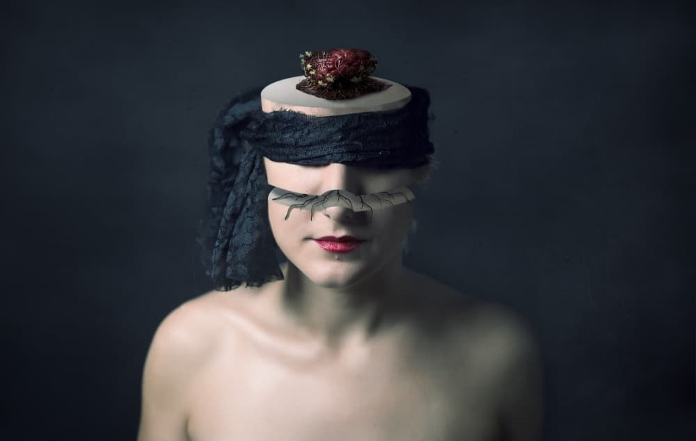 Blindfolded Mind Garden by claudia méndez cordero — canvas wall art