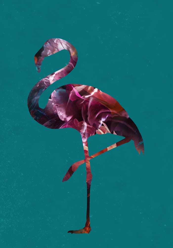 Vibrant Abstract Flamingo by Sarah Manovski — canvas wall art
