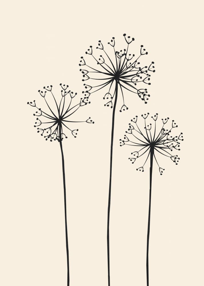 Minimalist Dandelion Blooms by Flow Line — canvas wall art