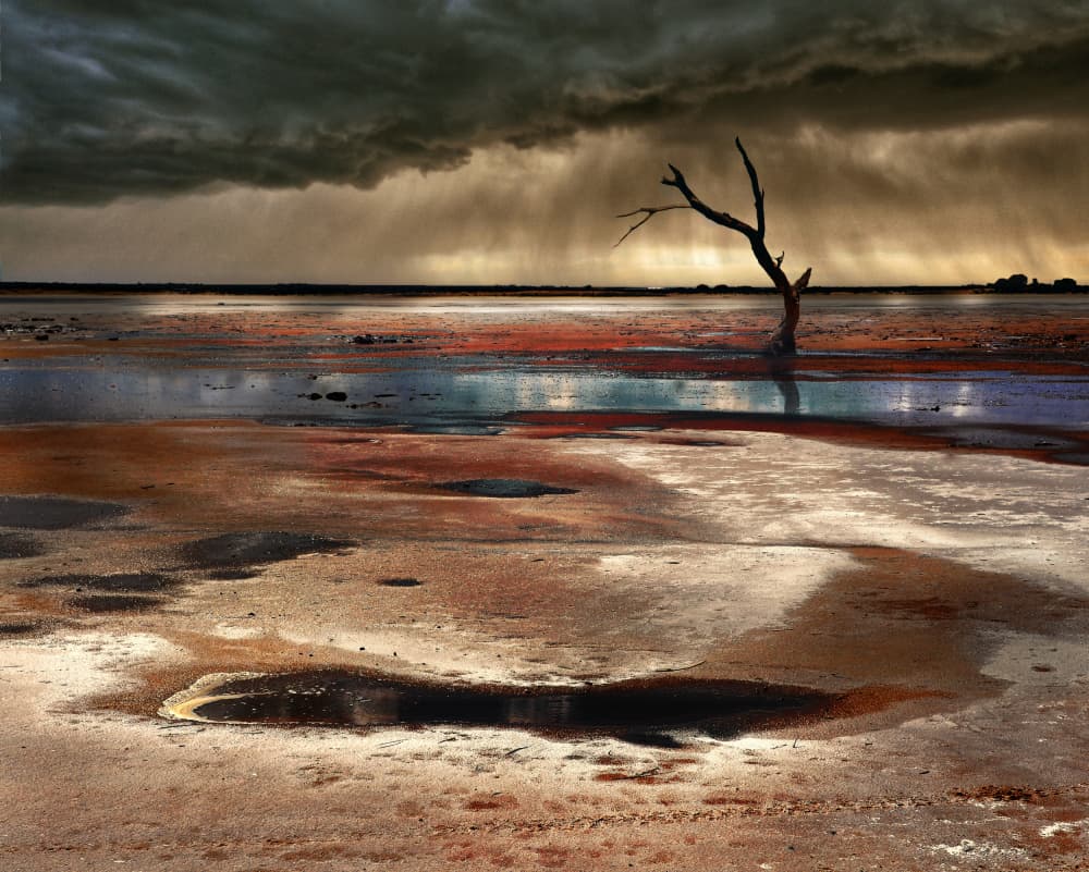Lone Tree Stormy Sky by Peter Hammer — canvas wall art