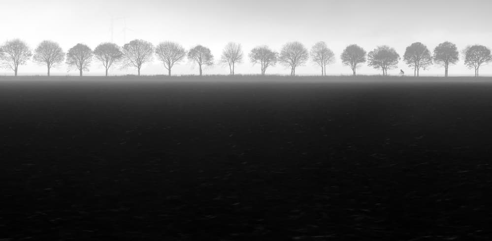Misty Winter Landscape by Huib Limberg — canvas wall art