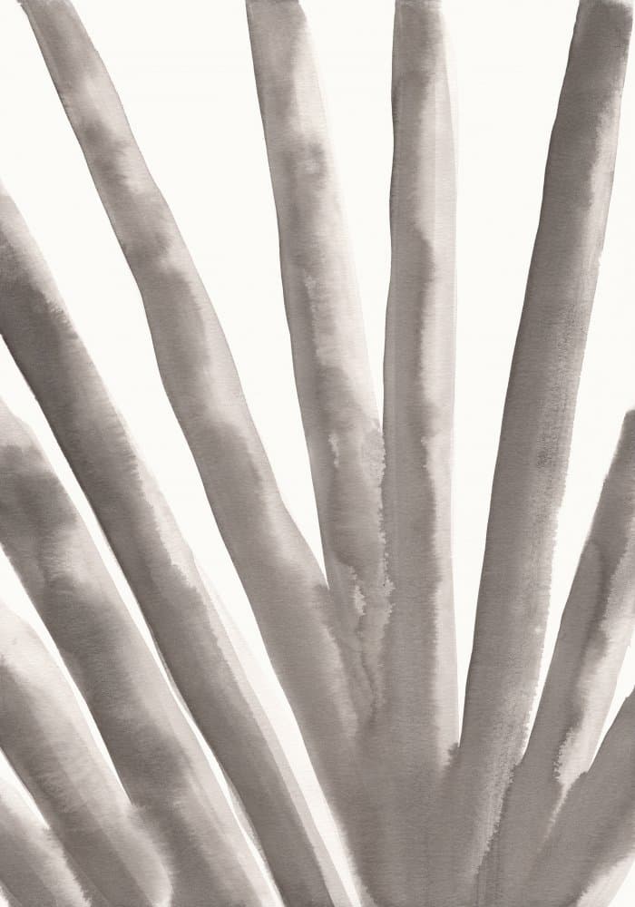 Soft Organic Strokes by Pictufy Studio — canvas wall art