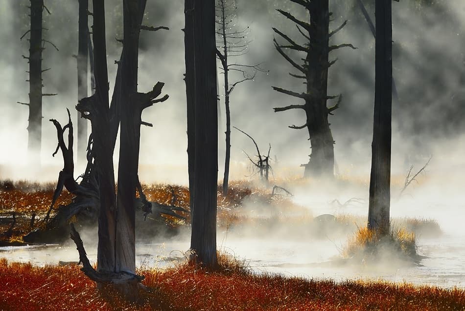 Ethereal Autumn Mist by Izidor Gasperlin — canvas wall art