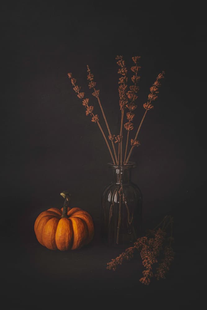 Dark Autumn Still Life by Cicek Kiral — canvas wall art