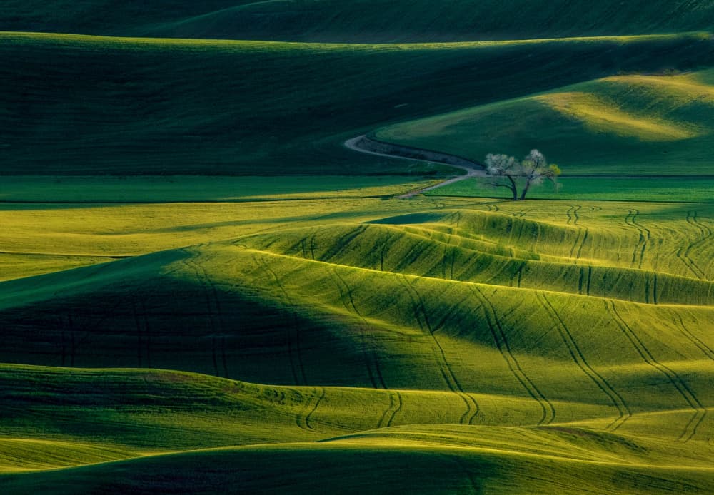 The View Of Palouse by NanZ — canvas wall art