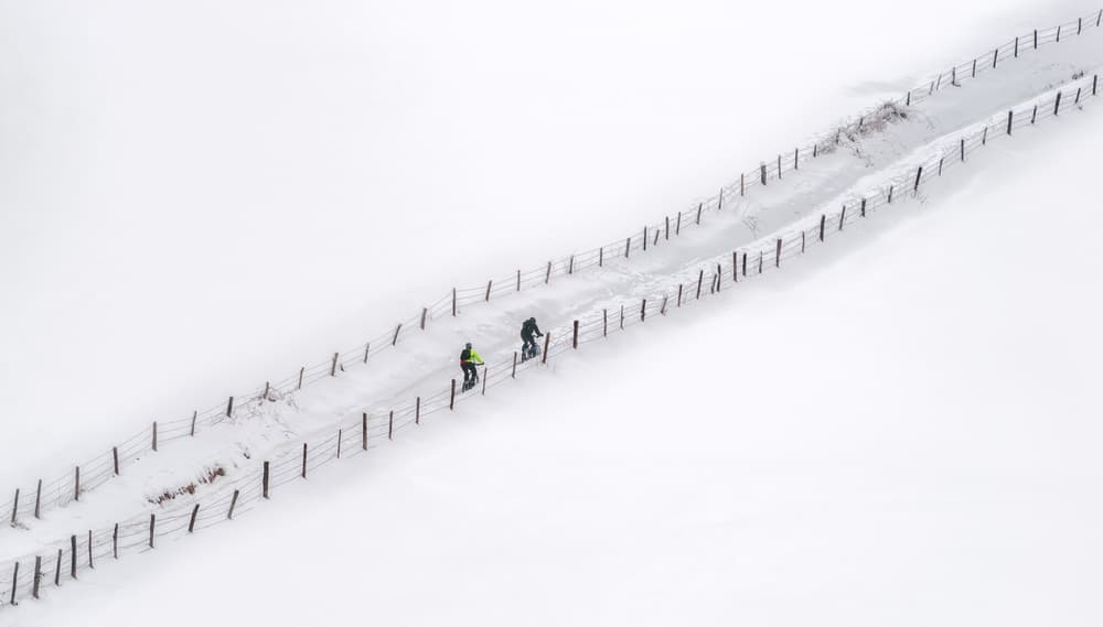 Snowy Winter Path by Fran Osuna — canvas wall art