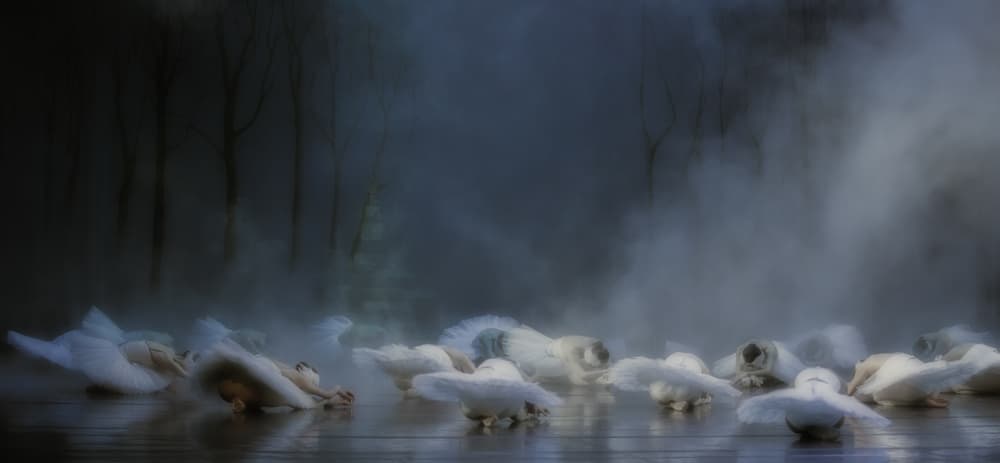 Misty Water Ballet by Peet van den Berg — canvas wall art