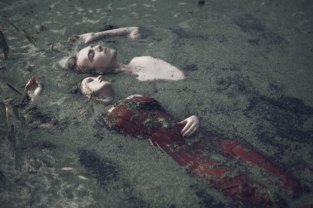 Floating In Green Water by Magdalena Russocka — canvas wall art