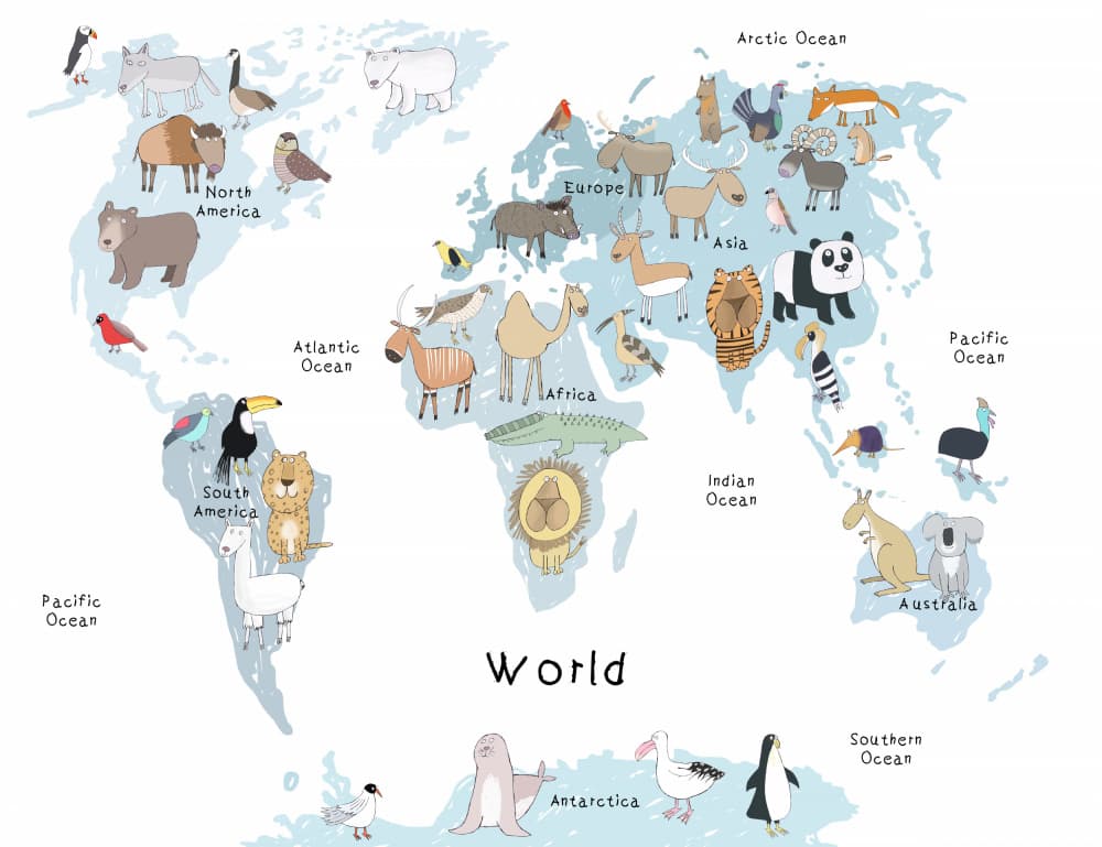 Illustrated World Animals by Carla Daly — canvas wall art