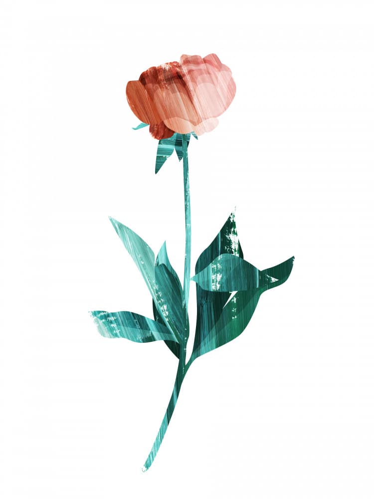 Flower Power #1 by Goed Blauw — canvas wall art