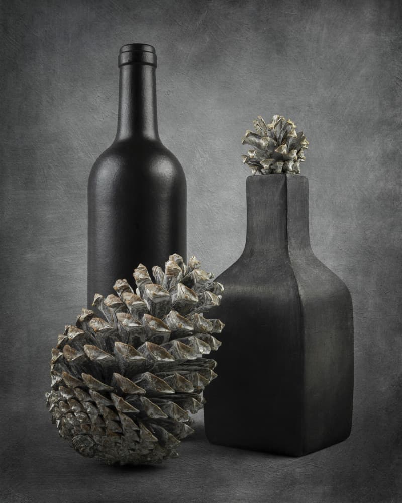 Dark Bottles and Pinecones by Ytje Veenstra — canvas wall art