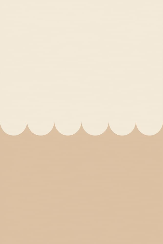 Soft Cream Scallops by Pictufy Studio — canvas wall art