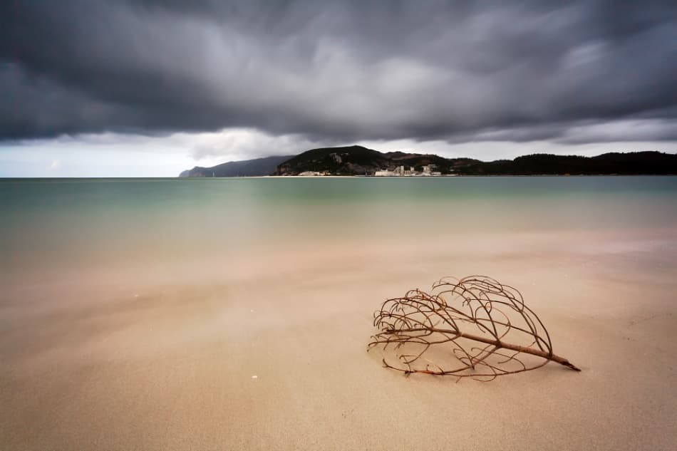 Weathered Branch Beach Sky by Rui David — canvas wall art