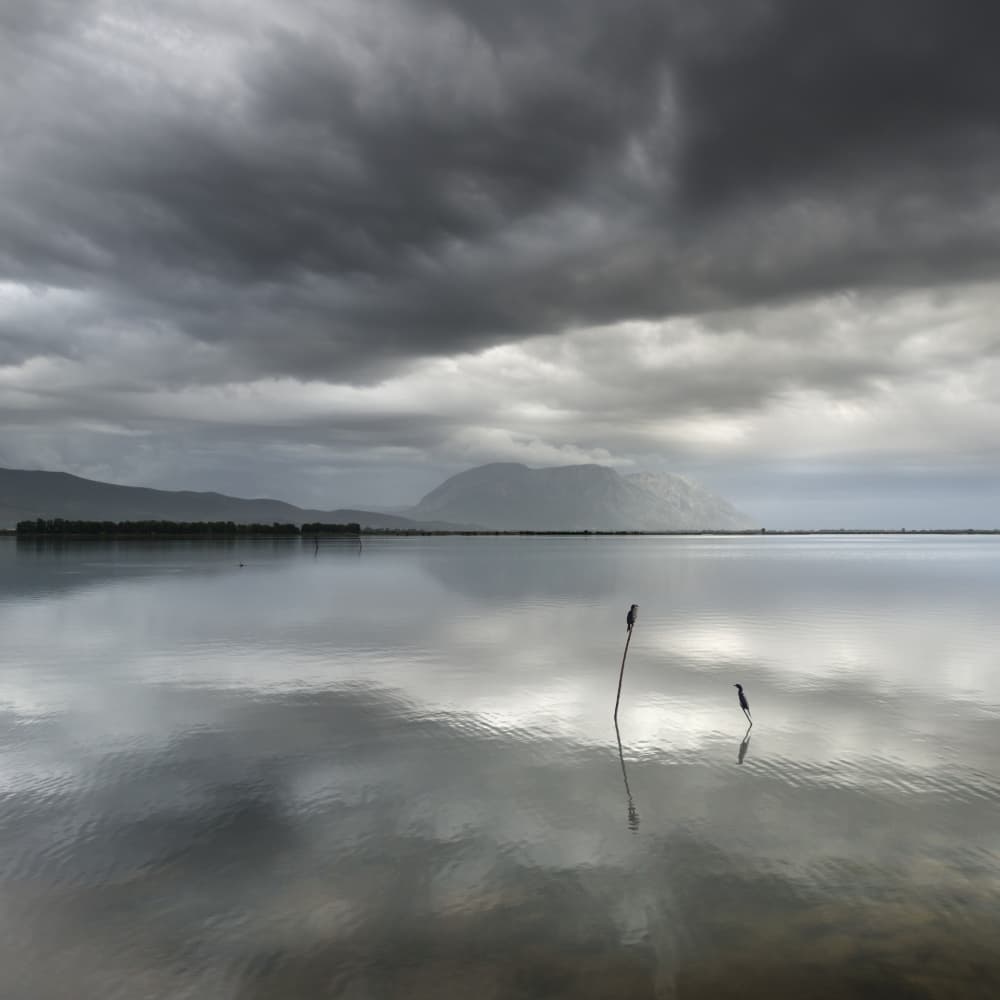 Two Birds Still Water by George Digalakis — canvas wall art