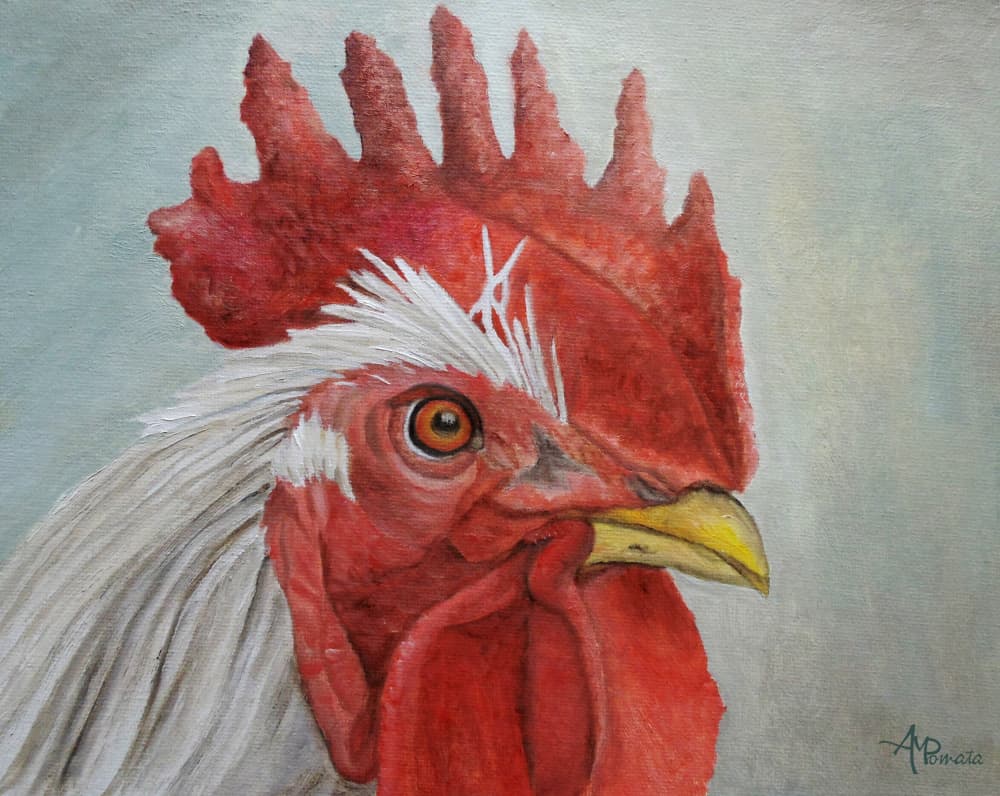 Colorful Rooster Head by Angeles M. Pomata — canvas wall art