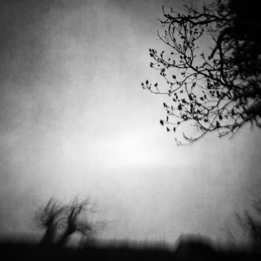 Bare Trees Silhouette by Vangelis Bagiatis — canvas wall art