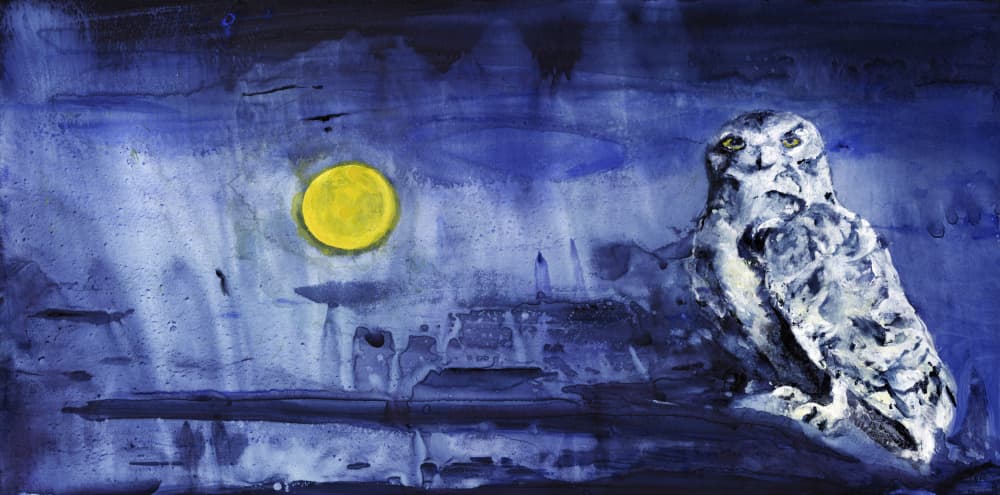 Snowy Owl Moonlight by RodMacIver — canvas wall art