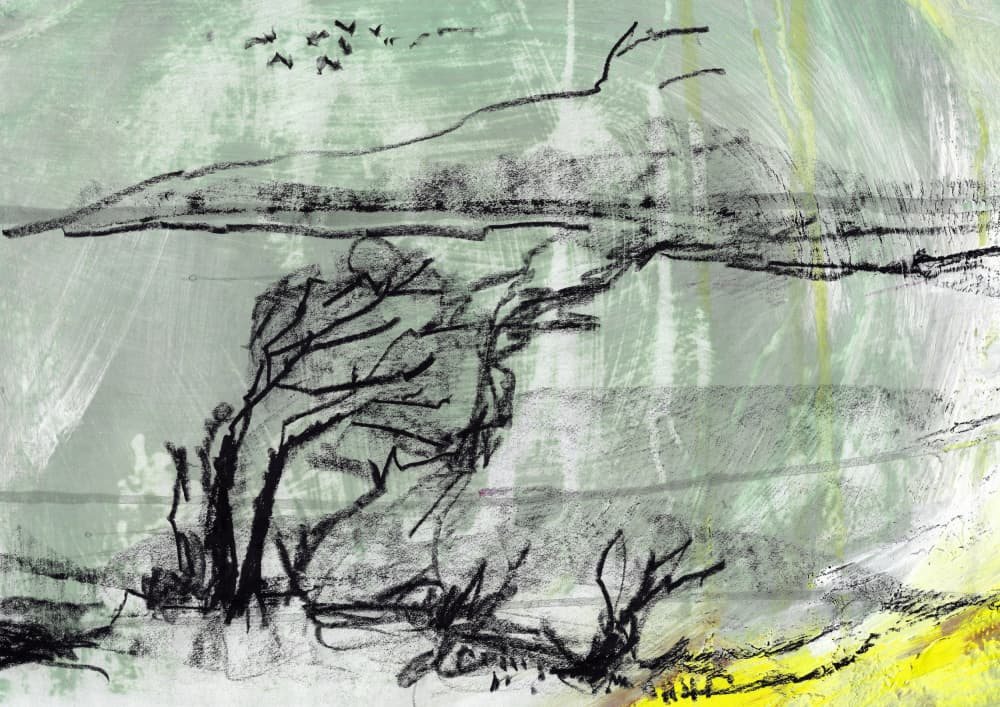 Windblown Tree Sketch