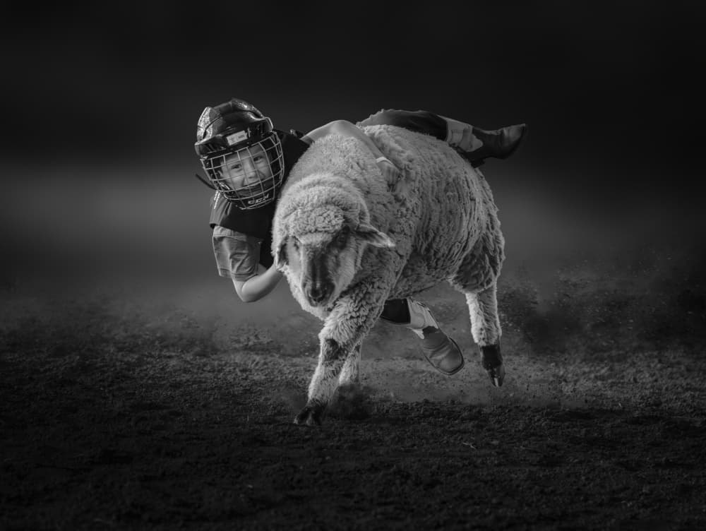 Smiling Mutton Buster by Anna Zhang — canvas wall art