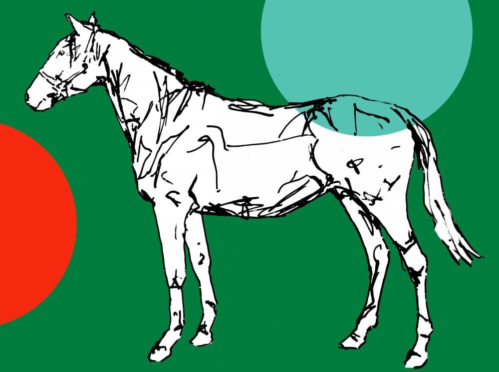 Modern Horse Sketch by casa cartissi — canvas wall art