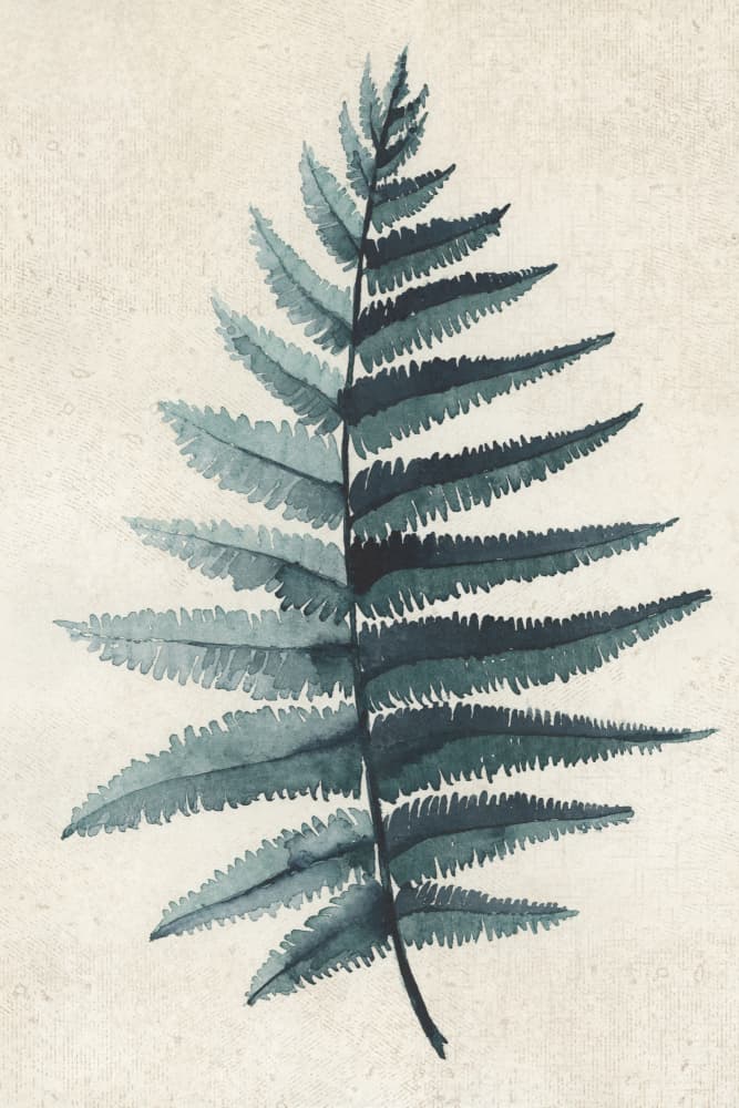 Classic Botanical Fern by Rosana Laiz Blursbyai — canvas wall art