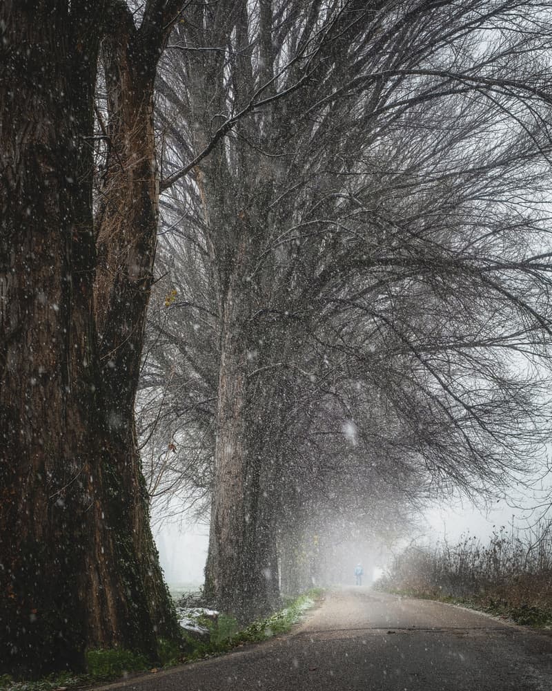 Snowy Winter Road by Andrea Fraccaroli — canvas wall art