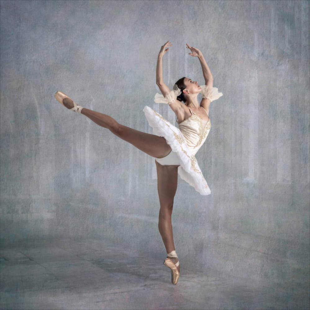 Graceful Ballerina Pose by Derwood — canvas wall art