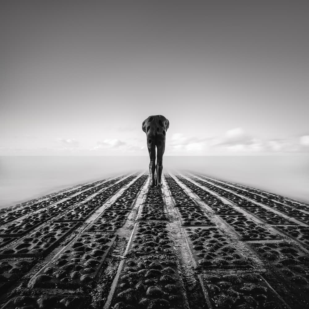 Solitary Figure Ocean Path by Christophe Staelens — canvas wall art