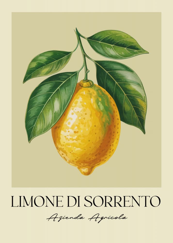 Sorrento Lemon Botanical