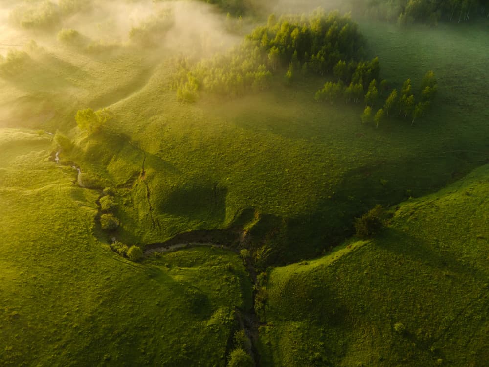 Misty Green Valley Morning by Ovidiu Satmari — canvas wall art