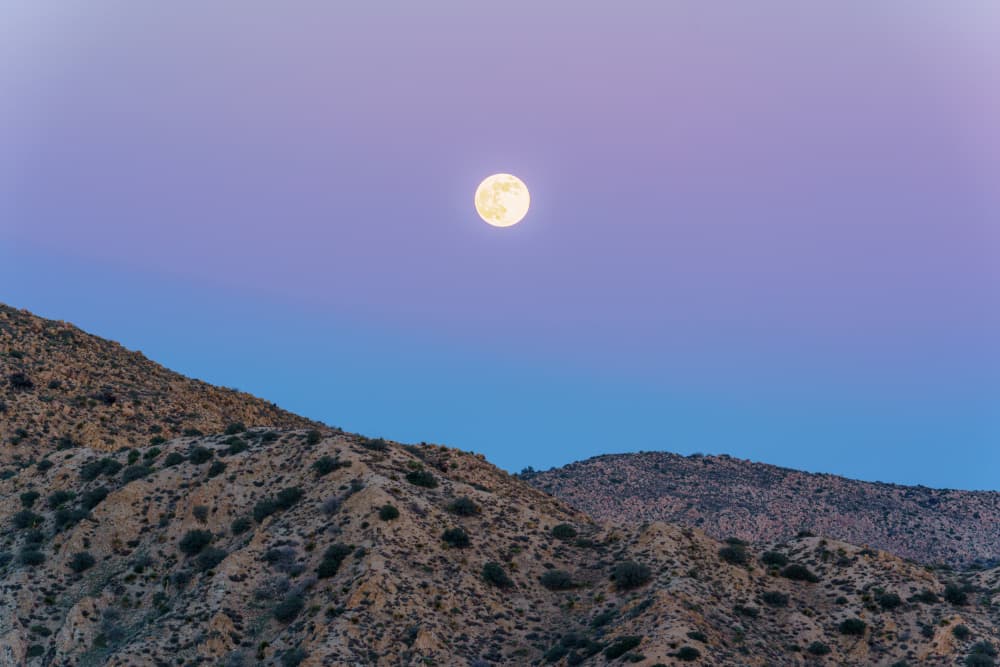 Full Cold Moon Supermoon Above Mountains in the Mojave Desert of California by Tom Windeknecht — canvas wall art