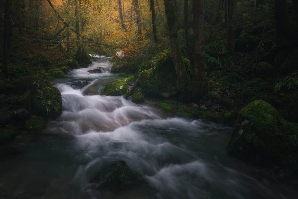 Autumn Forest Stream by Thomas de Franzoni — canvas wall art
