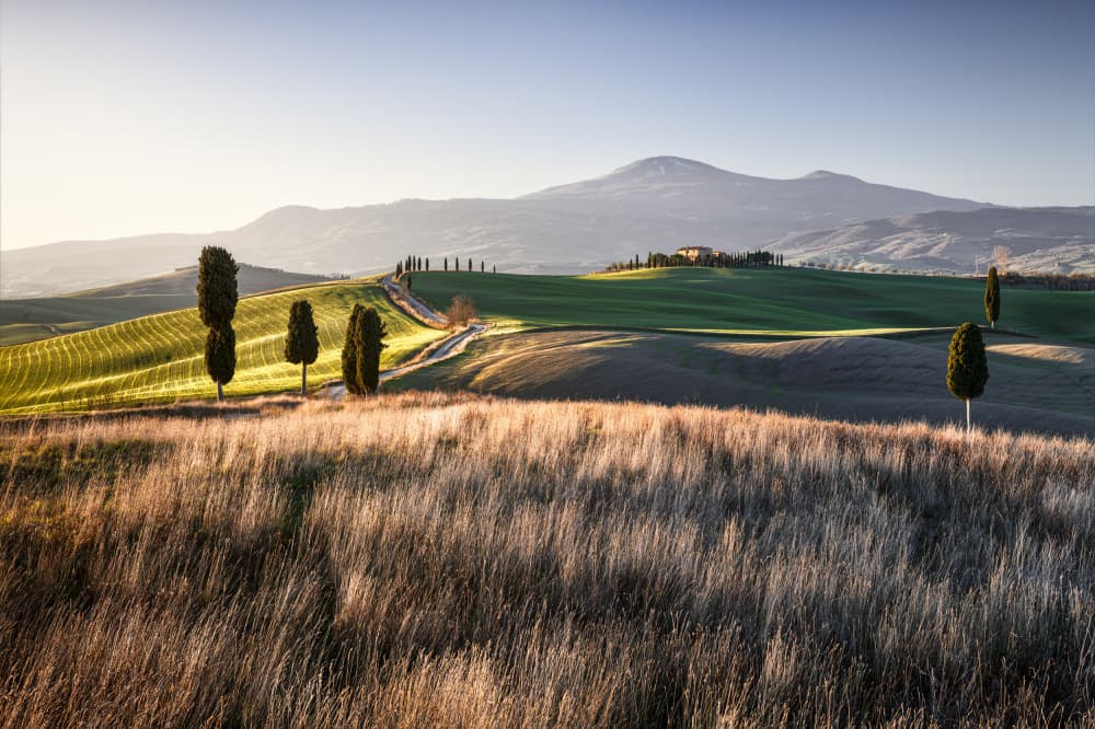 Sunlit Tuscan Landscape by Biffi Pietro — canvas wall art