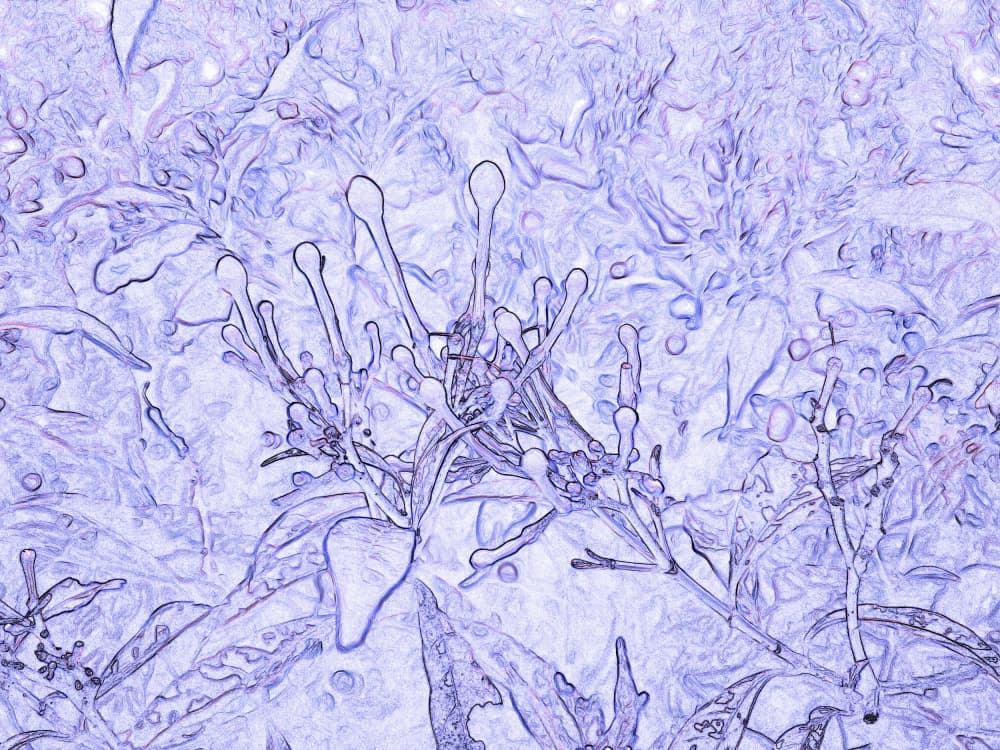 Ethereal Blue Botanicals by Santhosh ch — canvas wall art