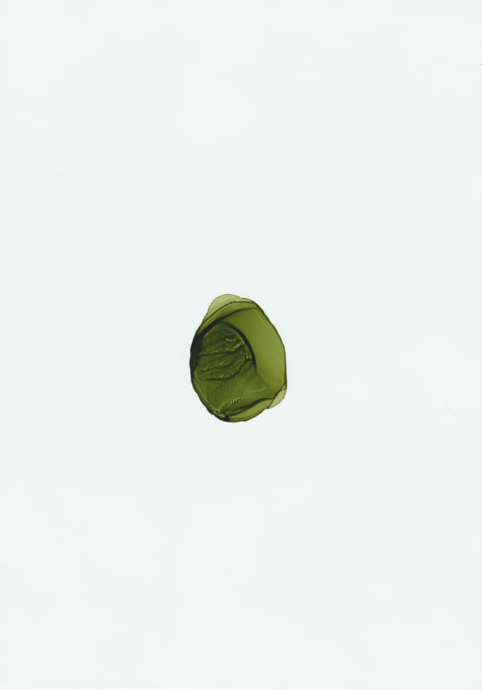 Organic Green Fluid by Maira Ribena — canvas wall art