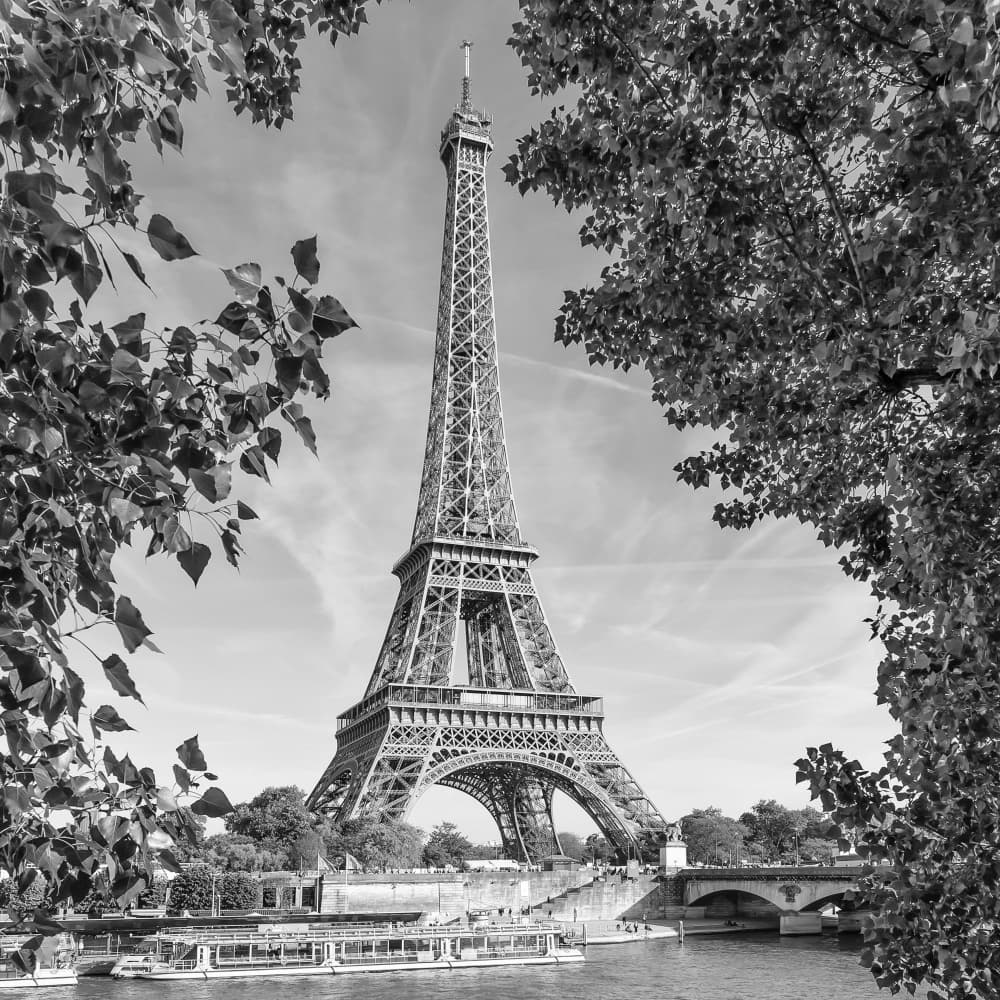Classic Eiffel Tower View by Melanie Viola — canvas wall art