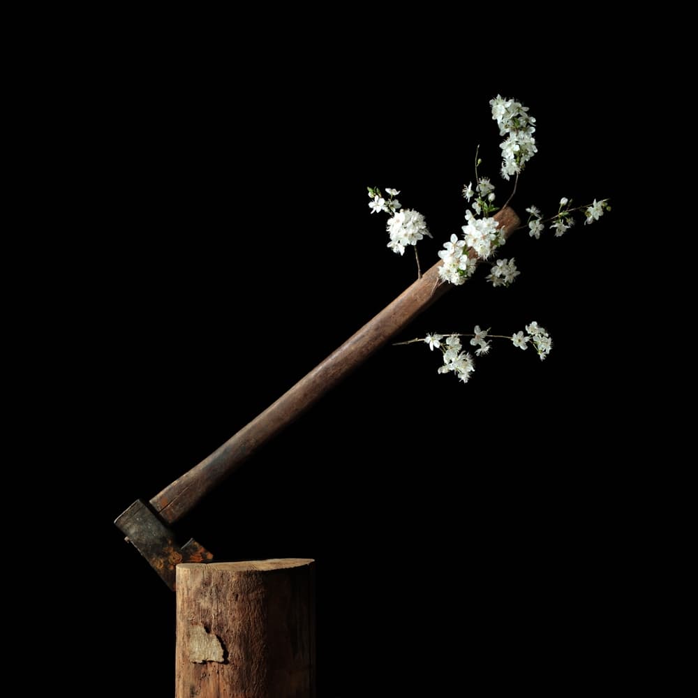 Flowering Axe by Floriana Barbu — canvas wall art