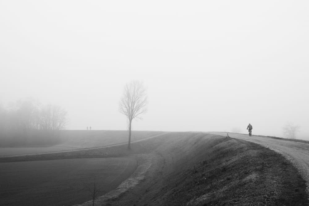 Misty Path Lone Cyclist by Stefano Castoldi — canvas wall art