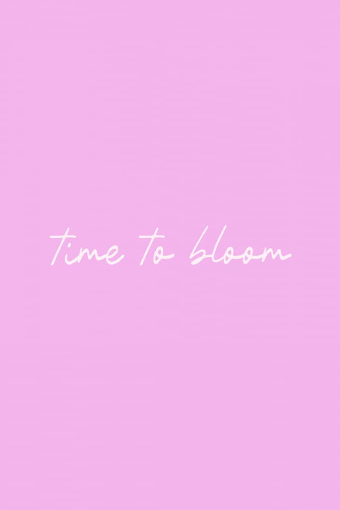 Time To Bloom by Karen Menzenbach — canvas wall art