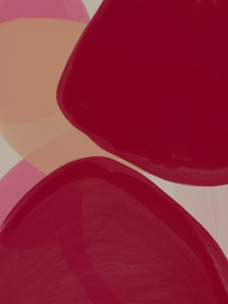 Crimson Peach Curves by Studio Palette — canvas wall art