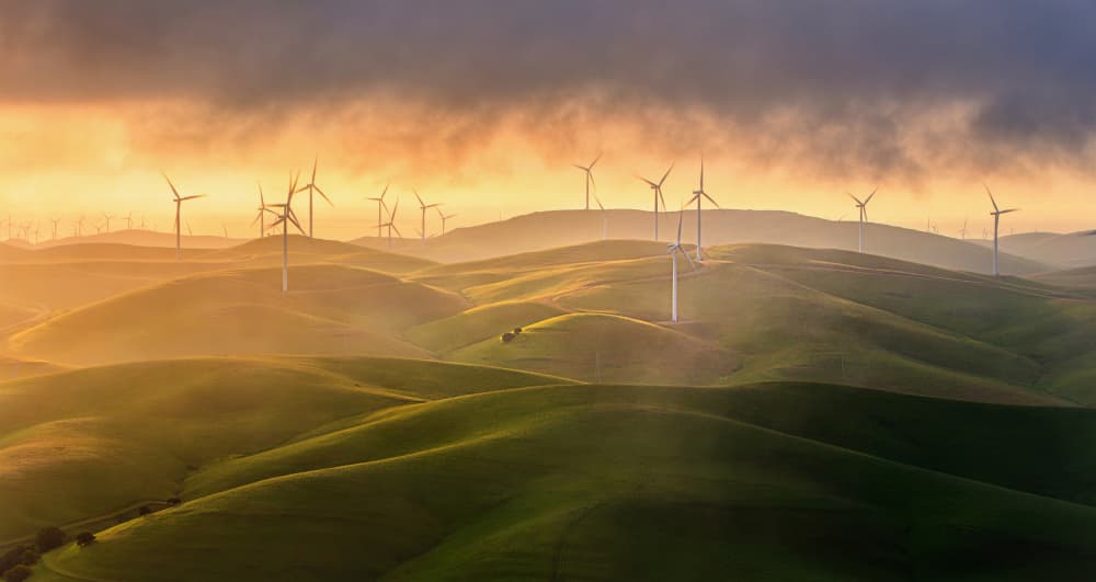 Golden Hour Wind Farm by Dianne Mao — canvas wall art