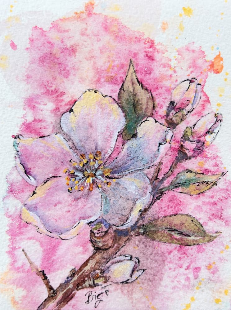 Blooming Pink Branch by Anda Bieza — canvas wall art