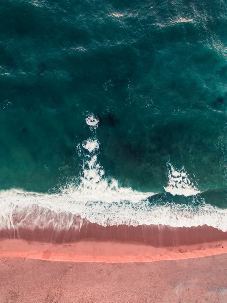 Ocean Meets Pink Sand by Javier Pardina — canvas wall art