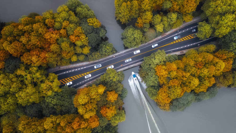 Golden Autumn Crossing by Yun Gong — canvas wall art