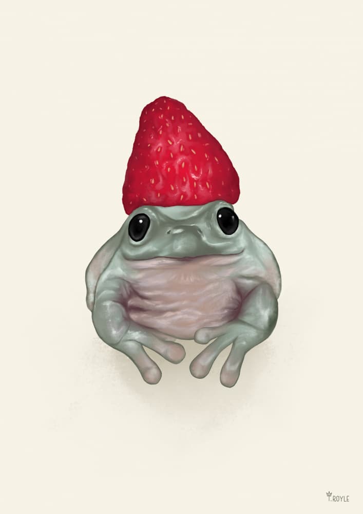 Whimsical Strawberry Frog by Tara Royle — canvas wall art