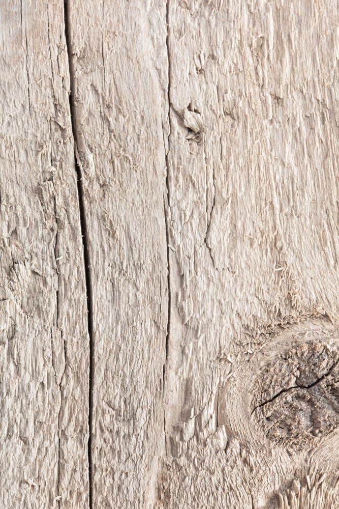 Weathered Wood Grain by Pictufy Studio III — canvas wall art
