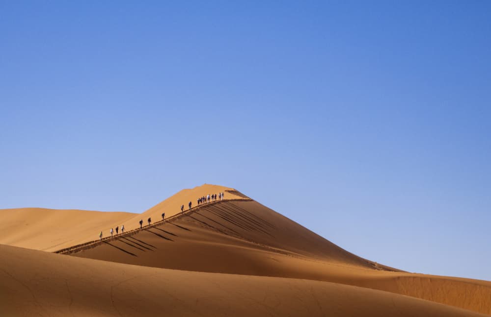 Desert Dune Trekkers by Fernando Abreu — canvas wall art