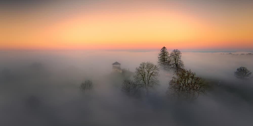Golden Foggy Morning by Judith Kuhn — canvas wall art
